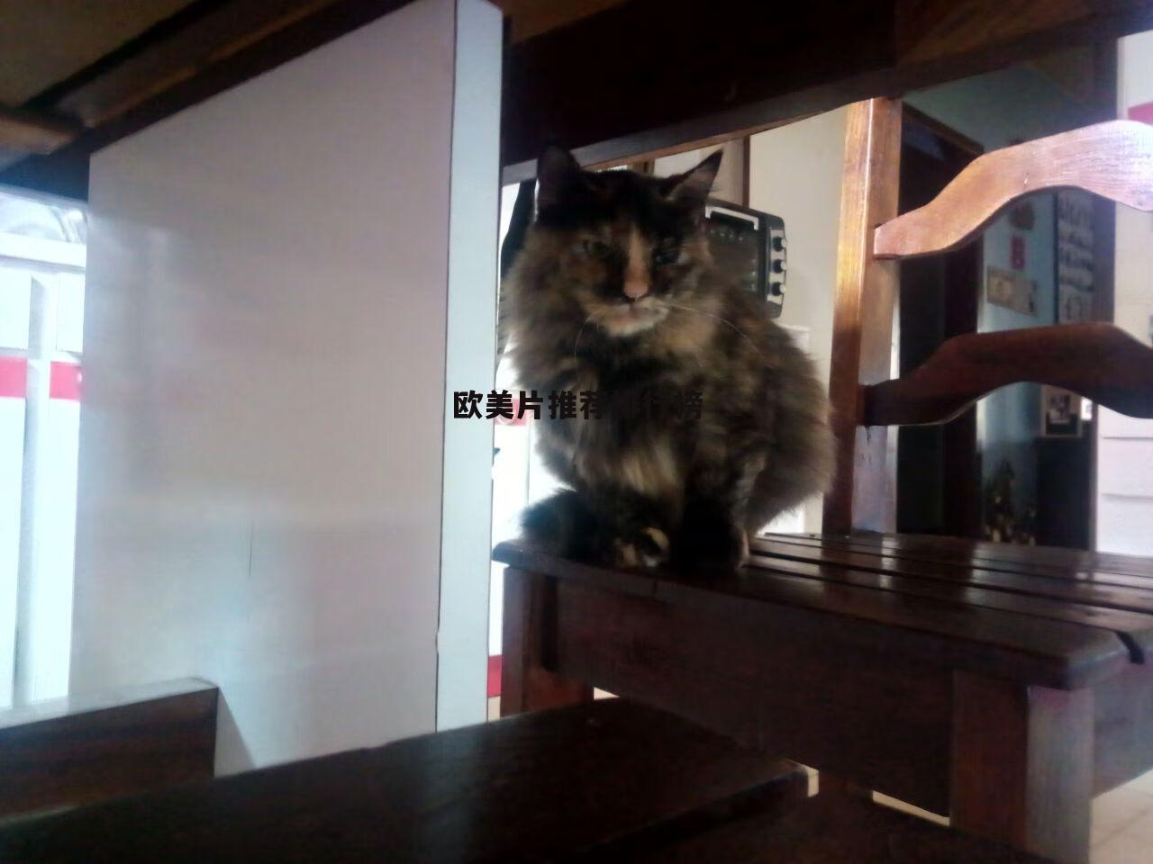 欧美片推荐排行榜